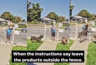 ‘When the instructions say leave the products outside of the fence.’ An Amazon Delivery Driver Ignored A Sign And Dogs Snatched The Package