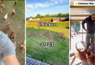 ‘Me and my posse are on our way.’ The Chicken “Armies” That Are Facing Off Online