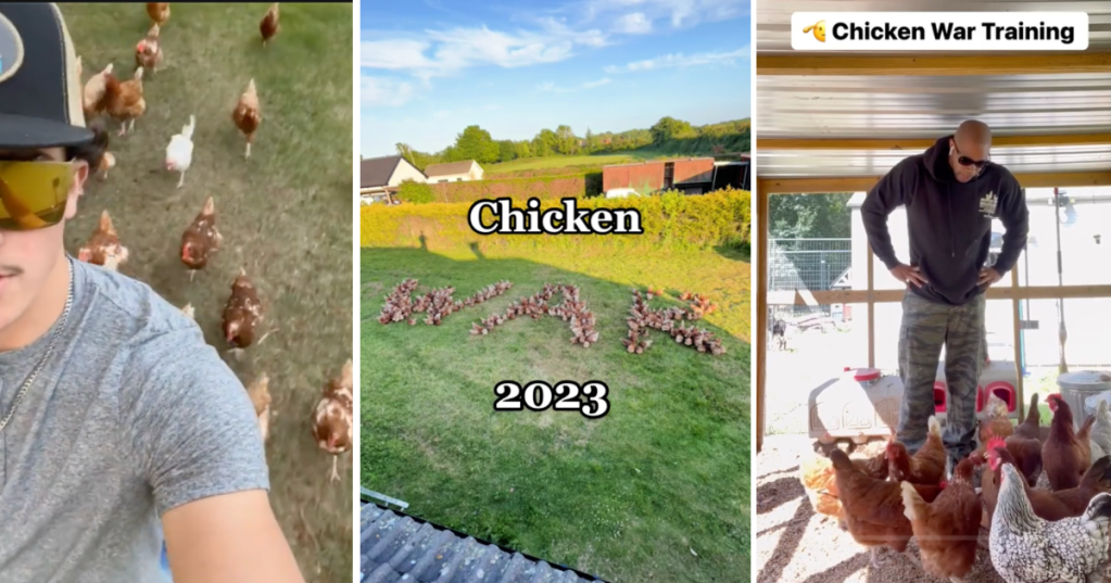 'Me and my posse are on our way.' The Chicken "Armies" That Are Facing Off Online