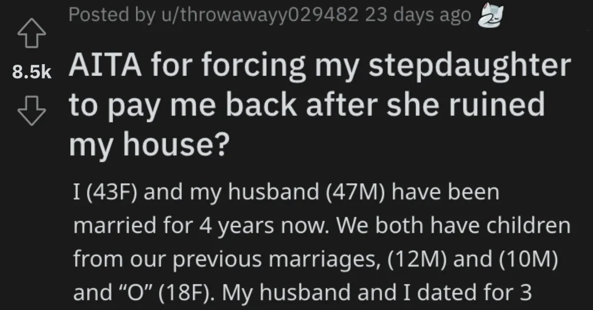 Forcing Stepdaughter Pay Back AITA I like a higher level of cleaning quality. Is She Wrong for Forcing Her Stepdaughter to Pay Her Back After Her House Was Ruined?