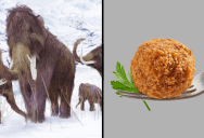 These Gene Hackers Made A Meatball Out Of Resurrected Mammoth