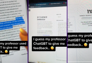 This Student Caught Her Professor Using ChatGPT To Give Feedback On Her Work