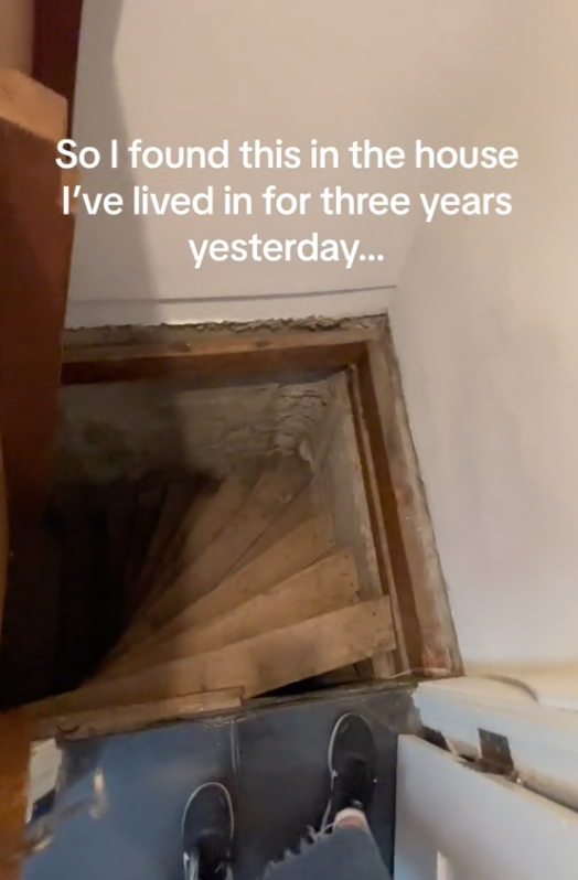 Screen Shot 2023 07 01 at 6.24.01 PM A Woman Found a Hidden Staircase in Her Closet... After Living in a House for Three Years!