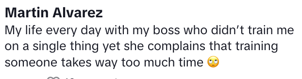 Screen Shot 2023 07 08 at 11.20.14 AM A Woman Called Out Managers Who Don’t Train Her and Get Mad When Something Goes Wrong