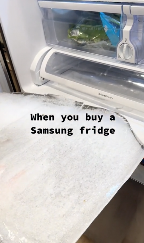 Screen Shot 2023 07 09 at 4.54.51 PM When you buy a Samsung fridge... Customers Have to Remove Slabs of Ice From Their New Fridges And Theyre Putting Samsung On Blast