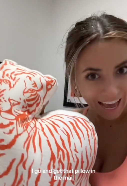 Screen Shot 2023 07 09 at 6.54.42 PM Does anyone need a tiger pillow? A Woman Got Three New Pillows Sent to Her From Crate & Barrel After She Asked for a Partial Refund