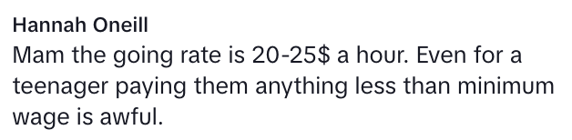 Screen Shot 2023 07 26 at 10.47.26 AM I’m about to quit and become a babysitter. A Mom Complained About How Much She Had To Pay For Child Care, But People Checked Her Expectations