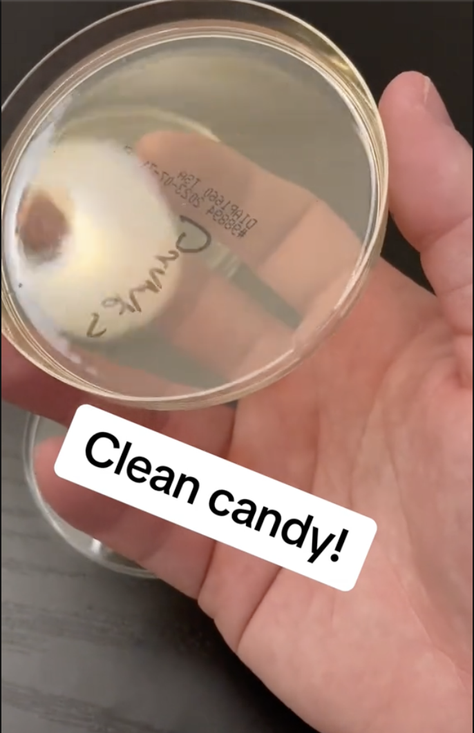 Screen Shot 2023 07 27 at 3.46.52 PM How Gross Is The Candy In A Self Serve Store? HowDirtyItIs TikTok Account Swabs The Tongs And Candy To Find Out!