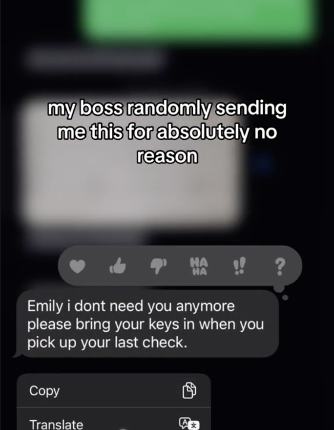 Screen Shot 2023 07 30 at 4.01.47 PM Emily i dont need you anymore. TikToker Shows How She Got Fired Without Warning And For Absolutely No Reason