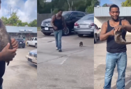 ‘Better than a dog.’ Video Shows A Man Who Found A Baby Raccoon And Trained It As A Pet