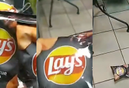 ‘There’s nothing in here.’ A Subway Worker Put Lays Potato Chips on Blast Because Their Bags Are Full of Air