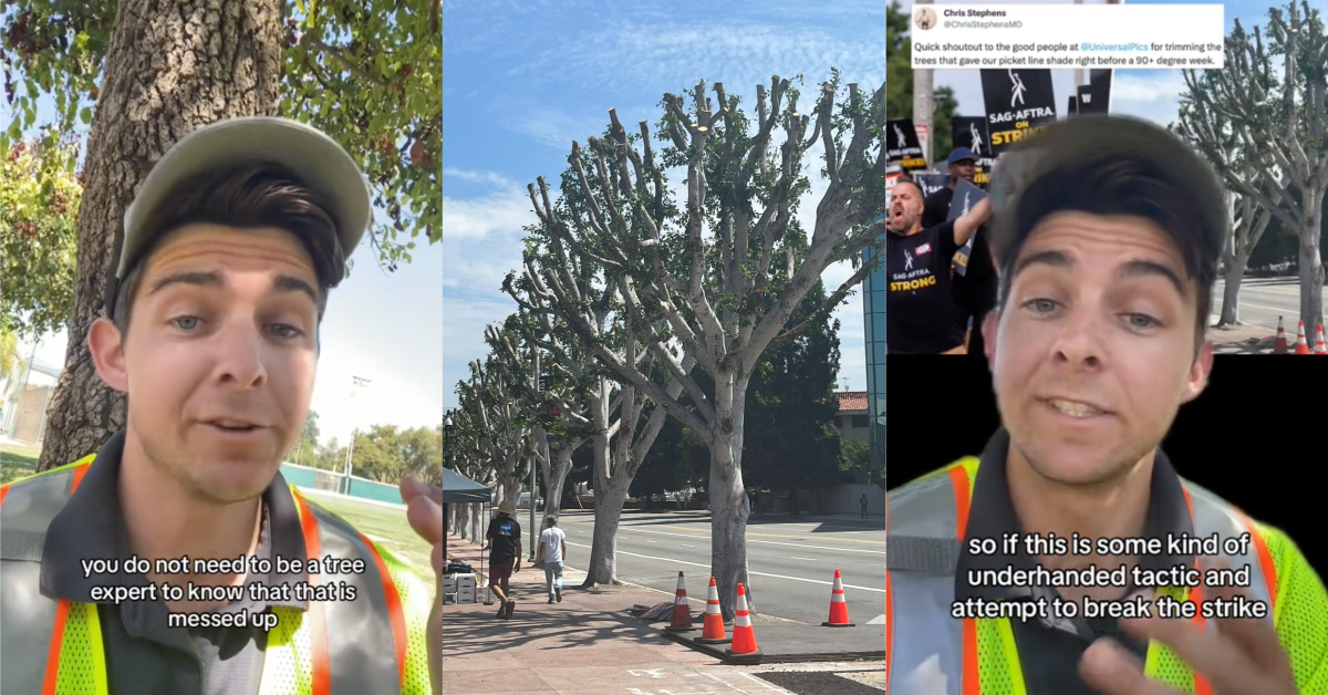 TikTokStrikingTreeShade Universal Studios Was Accused of Pruning Trees So Striking Workers Wouldn’t Have Shade From the Oppressive Heat