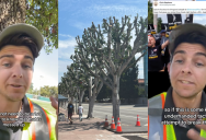 Universal Studios Was Accused of Pruning Trees So Striking Workers Wouldn’t Have Shade From the Oppressive Heat