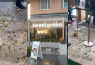 ‘For reasons I still don’t know.’ A Sweetgreen Customer Threw Salads All Over the Ground During a Temper Tantrum