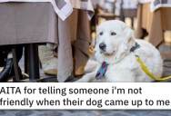 ‘I look at the owners and say “What the hell?” and point at the dog.’ This Guy Flipped Out When A Dog Sniffed Him At A Restaurant. Should He Just Chill?