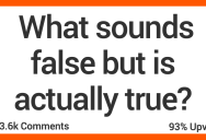 What Sounds False but Is Actually True? Here’s What Folks Had to Say.