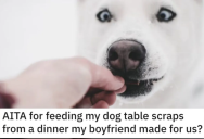 Her Boyfriend Cooked Her Dinner And She Shared Some Of It With Her Dog. Was She Wrong?