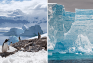 Antarctica Is Losing Nearly 1 Million Square Miles More Ice Than Anyone Realized