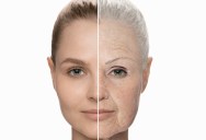 ‘Rejuvenation by age reversal can be achieved.’ Scientists Say They’ve Discovered The Chemical Cocktails That Can Reverse Aging