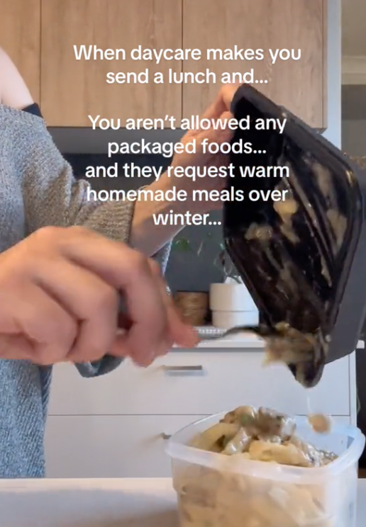 Screen Shot 2023 08 07 at 11.21.31 AM When daycare makes you send a lunch and you aren’t allowed any packaged foods. A Mom Disguised a Microwaveable Meal as a Homecooked One to Get Around Daycare Rules for Her Child