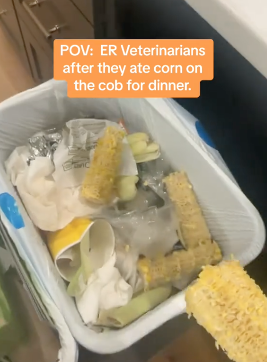 Screen Shot 2023 08 12 at 6.35.41 PM 1 Corn cobs are not digestible, so the body cannot break them down. A Vet Warned Dog Owners About Feeding Your Best Friend Corn Cobs