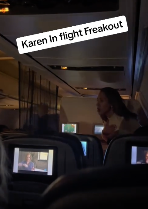 Screen Shot 2023 08 14 at 4.03.55 PM Just had my flight diverted because this lady couldn’t keep her mouth shut. Now she’s going to jail. A United Airlines Flight Was Forced To Land After An Unruly Passenger Was Denied Wine