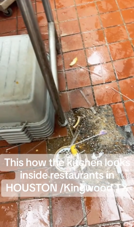 Screen Shot 2023 08 15 at 8.01.19 AM I want y’all to see the establishments that y’all love to eat out of. A Worker Showed The Incredibly Dirty Conditions Inside The Kitchen Where She Works
