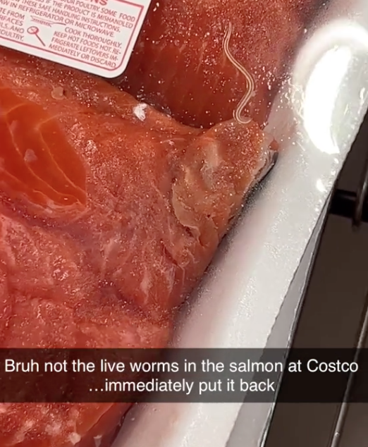 Screen Shot 2023 08 17 at 2.07.13 PM Live parasites... immediately put it back. A Woman Said She Found Live Worms in the Salmon at Costco