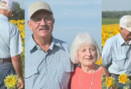 A Kansas Man Planted More Than One Million Sunflowers to Surprise His Wife of 50 Years
