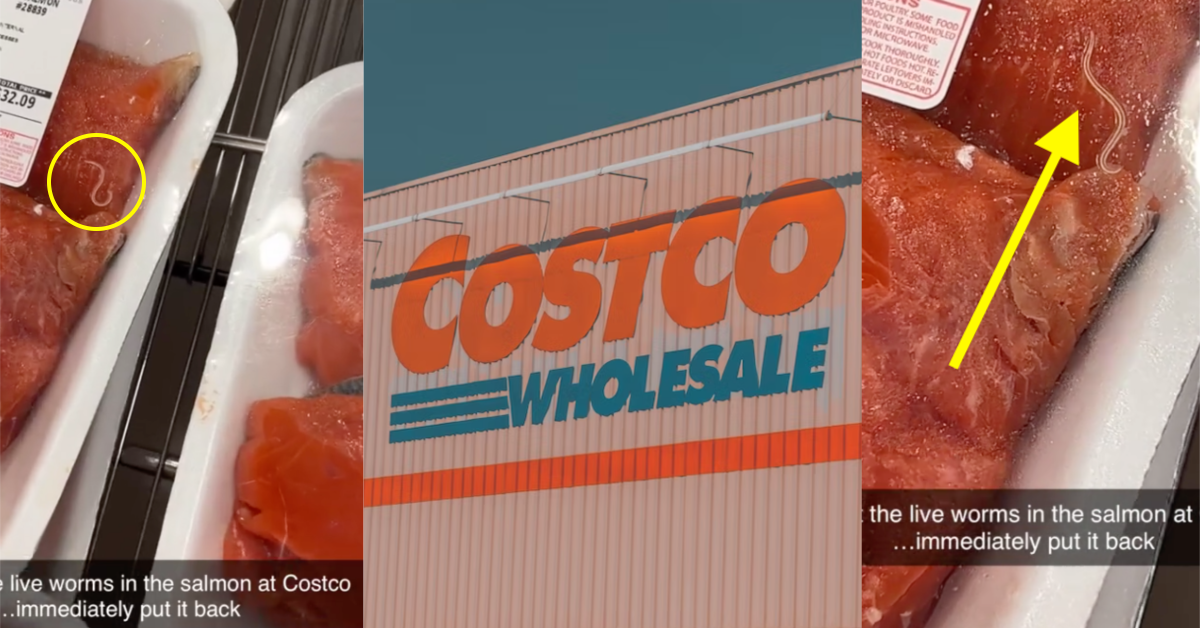 TikTokCostcoWorms copy Live parasites... immediately put it back. A Woman Said She Found Live Worms in the Salmon at Costco