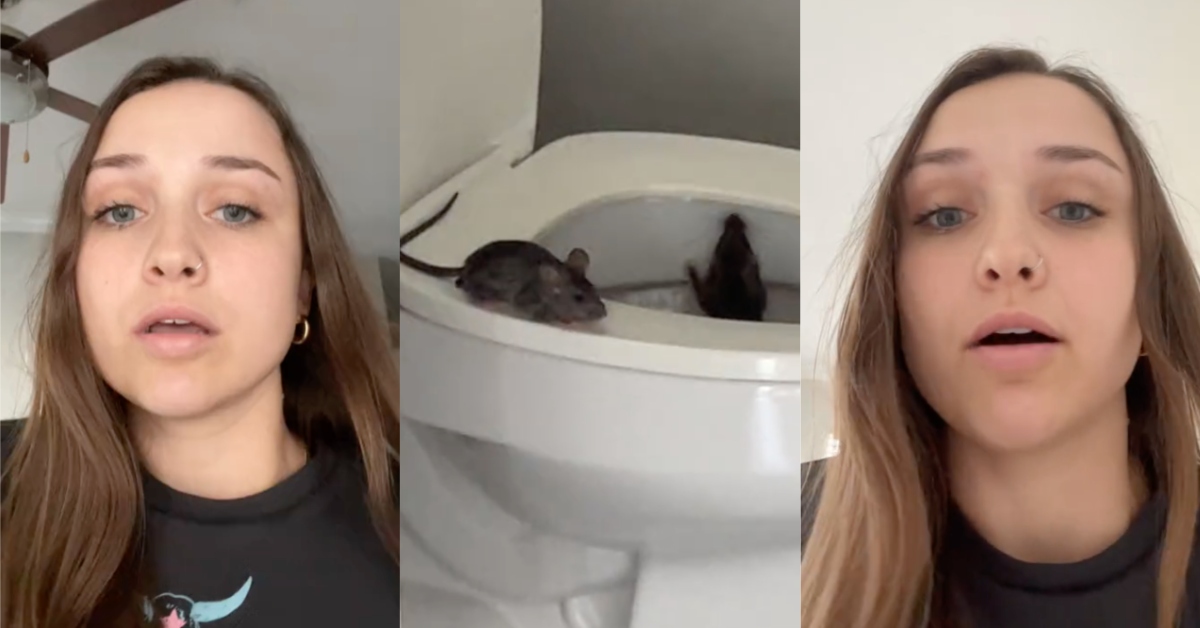 TikTokToiletRats I’m literally shaking right now. A Woman Moves Into Her Brand New Apartment And Immediately Finds Two Rats Crawling Out Of Her Toilet