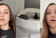 ‘I’m literally shaking right now.’ A Woman Moves Into Her Brand New Apartment And Immediately Finds Two Rats Crawling Out Of Her Toilet