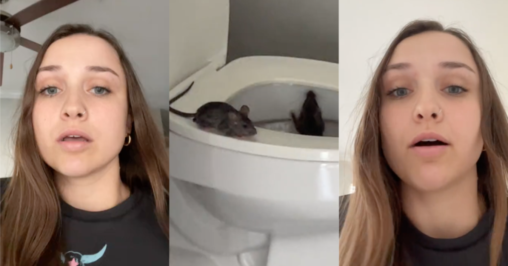 'I’m literally shaking right now.' A Woman Moves Into Her Brand New Apartment And Immediately Finds Two Rats Crawling Out Of Her Toilet