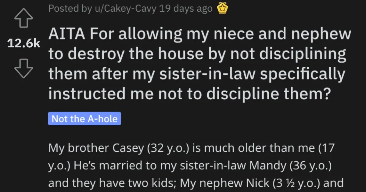 Wrong Letting Niece Destroy AITA Woman Asks if She’s Wrong for Letting Her Niece and Nephew Destroy the House While She Babysat