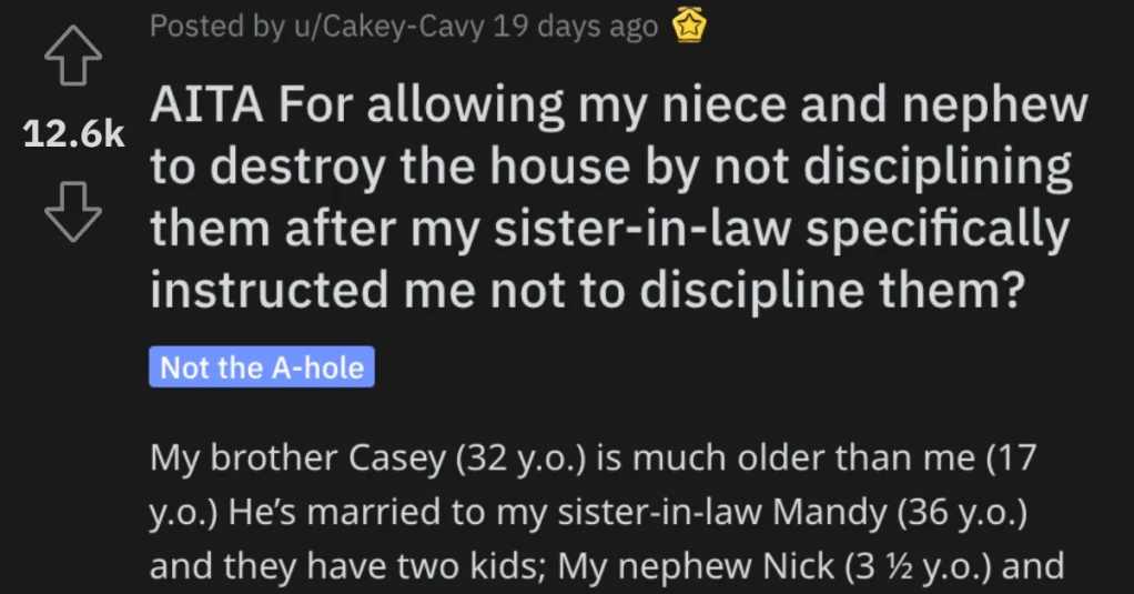Woman Asks if She’s Wrong for Letting Her Niece and Nephew Destroy the House While She Babysat