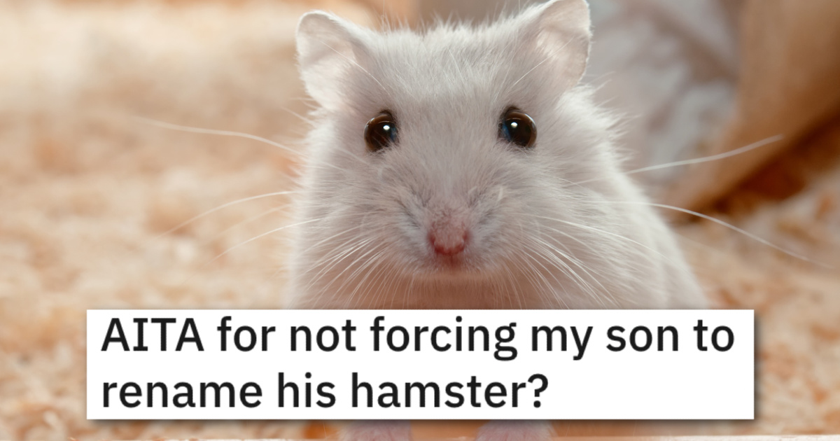 AITASonWontRenameHamster She outright demanded it be changed. Her Son Named A Hamster The Same As His New Cousin, And Her Sister Wants Him To Change It.