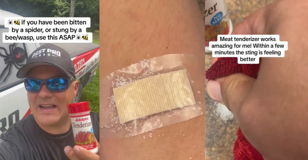 'This is what I keep in my first aid kit.' TikToker Shows How Meat Tenderizer Can Neutralize Painful Stings & Bites From Bugs