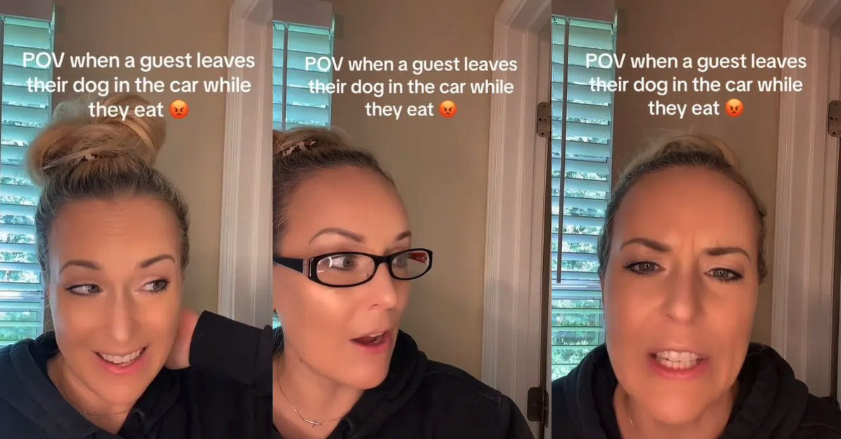 'Not only are you paying for your food, you're paying for the other person's food.' Server Says Customer Left Dog In Hot Car And Demanded Refund When Cops Were Called