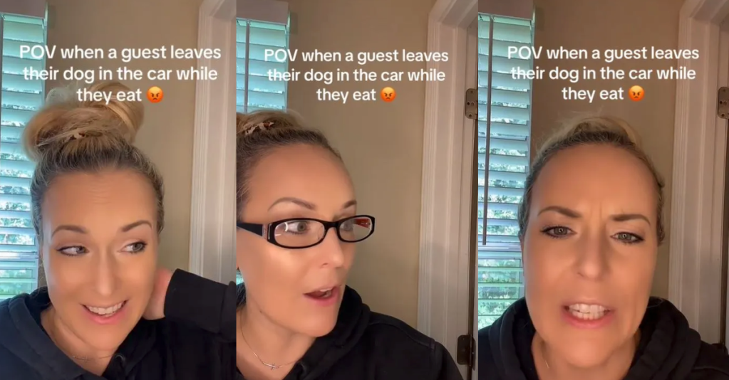 'Not only are you paying for your food, you're paying for the other person's food.' Server Says Customer Left Dog In Hot Car And Demanded Refund When Cops Were Called
