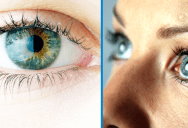 Scientists Can Now Reconstruct What You See By Analyzing The Reflection In Your Eye, Just Like In The Movies