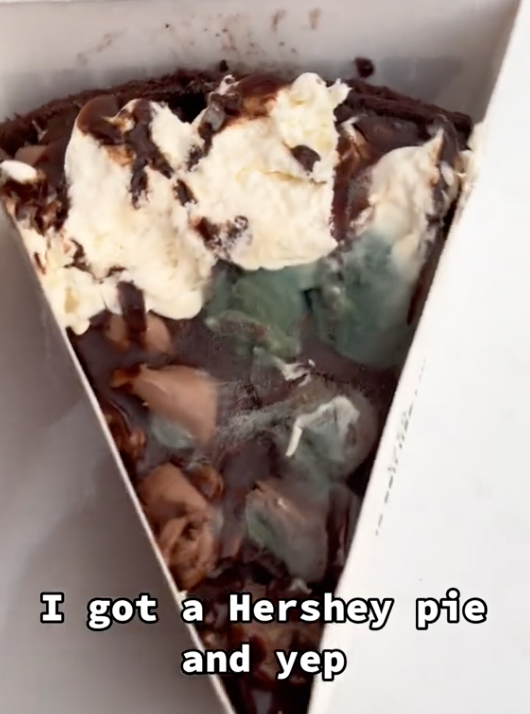 Screen Shot 2023 09 05 at 1.12.50 PM I would’ve probably eaten it and gotten sick. A Customer Discovered His Hershey Pie From Burger King Was Covered In Mold