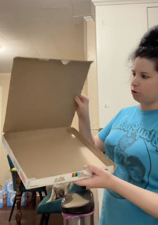 Screen Shot 2023 09 05 at 3.10.37 PM How am I just now hearing this? A Woman Shared A Frozen Pizza Box Hack You’ll Want To Check Out