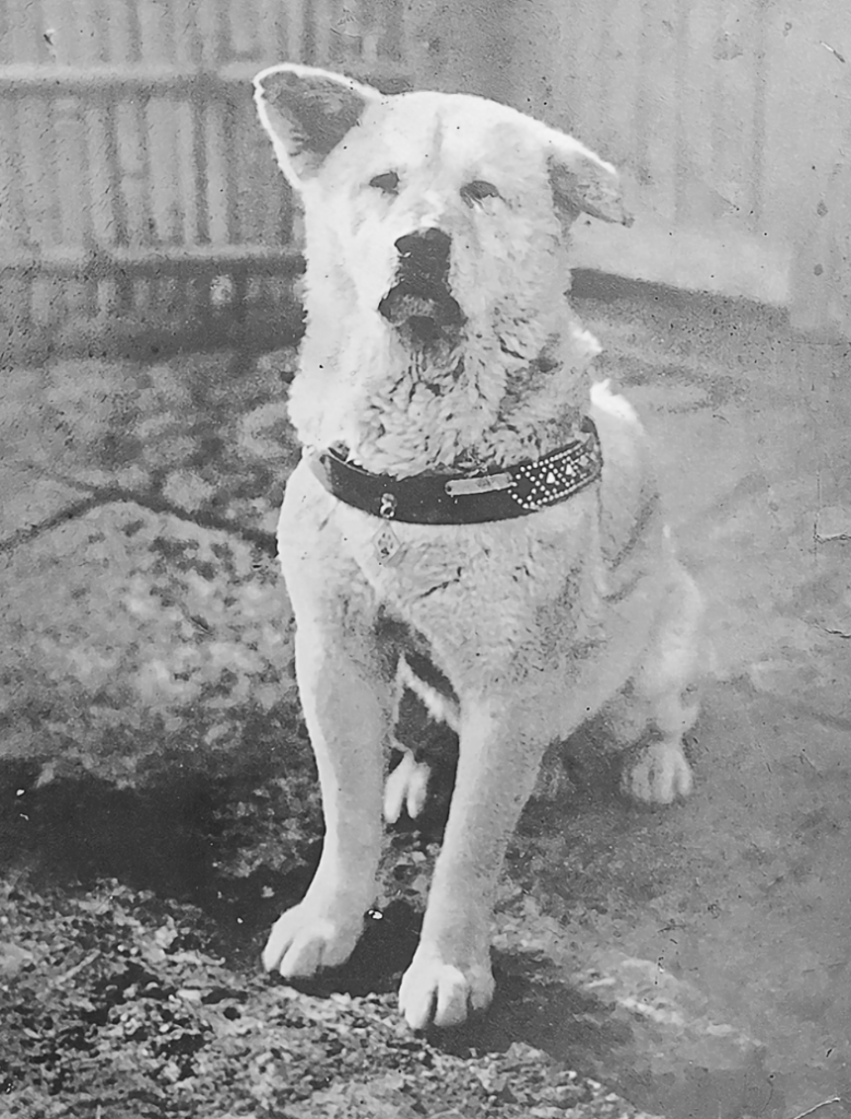 Screen Shot 2023 09 25 at 3.32.43 PM The True Story of Hachiko, Historys Most Loyal Dog And How Japan Honored Him