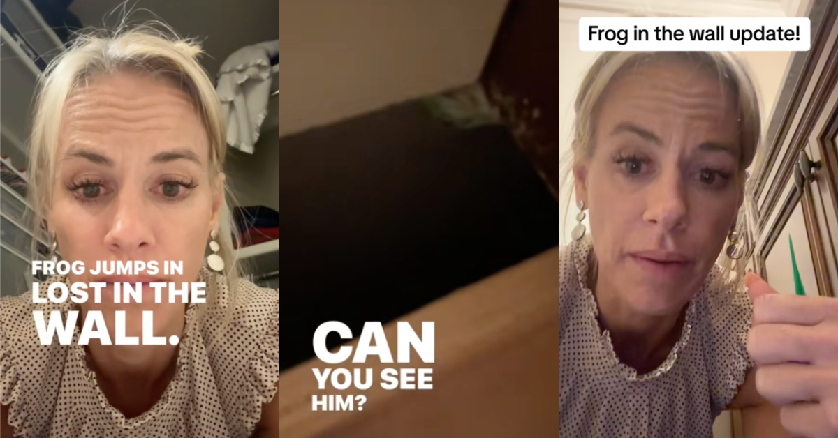 'I would rip the wall open.' A Mom Documented Her Rescue Mission When Her Son's Pet Frog Got Lost In A Wall