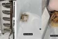 ‘This is absolutely disgusting.’ A Woman Posted a Video About How Dirty Ice Makers Really Are