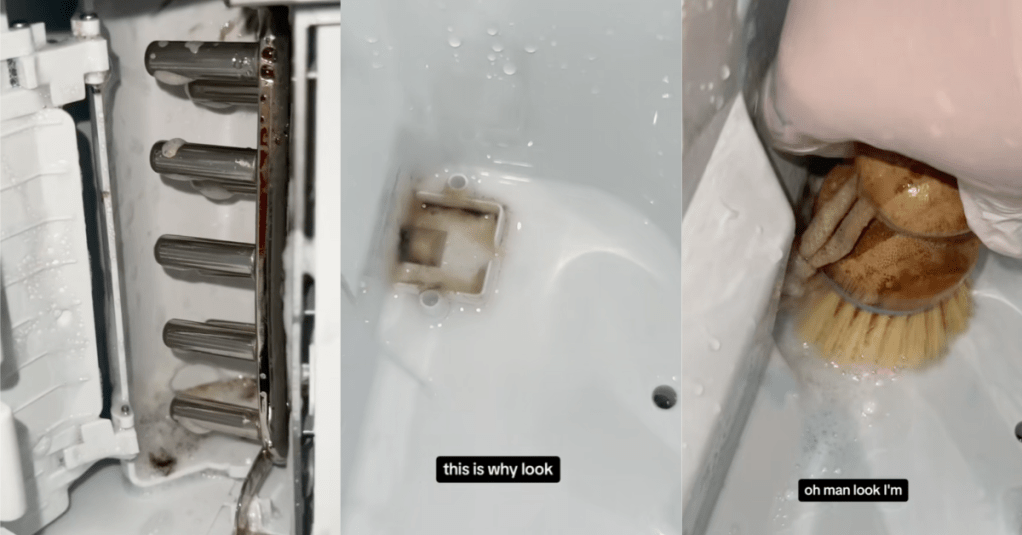 'This is absolutely disgusting.' A Woman Posted a Video About How Dirty Ice Makers Really Are
