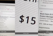 ‘The results of my first ever job search.’ A Job Listing Wants 20 Years Of Experience But Only Pays $15 An Hour