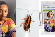 ‘My home, we inherited it from a hoarder.’ A Woman Talked About How To Get Rid of Roaches In Your Home Once And for All