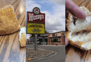 ‘She got it home, put it in the microwave and this is what it did.’ A Customer Showed What A Wendy’s Chicken Sandwich Looks Like When It’s Reheated