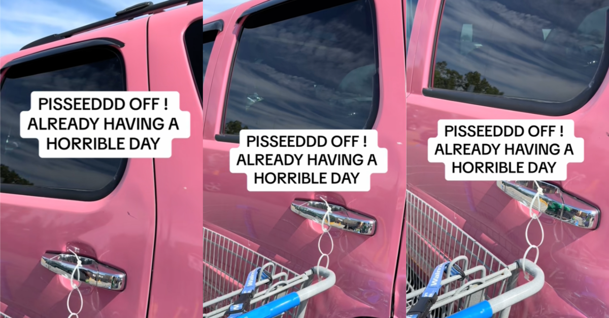 ‘This is the epitome of having the day you deserve.’ A Woman Found A